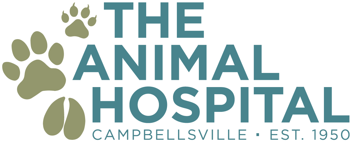 The Animal Hospital of Campbellsville